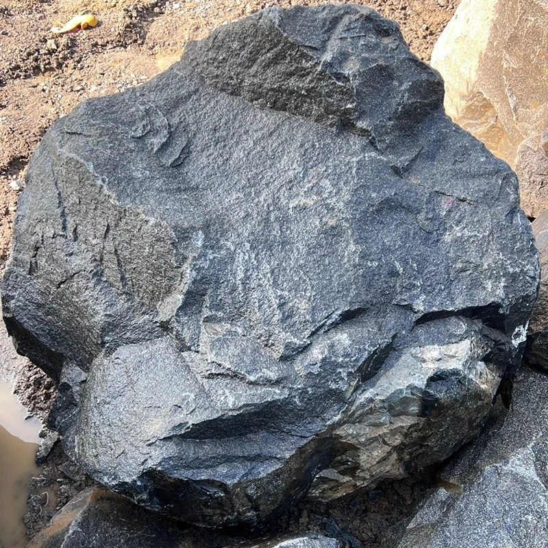 Black Slate Stone For Landscaping suppliers