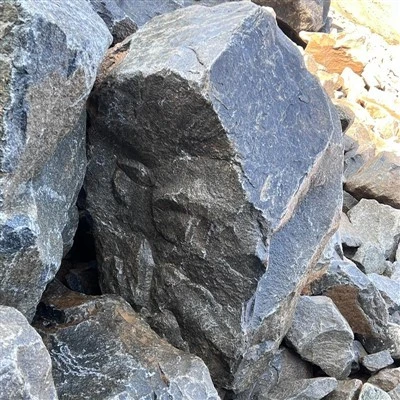 Black Slate Stone for Landscaping