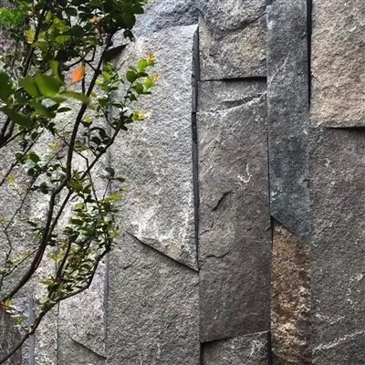 Stone Cladding Garden Wall