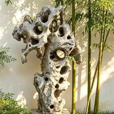 Taihu Lake Stone