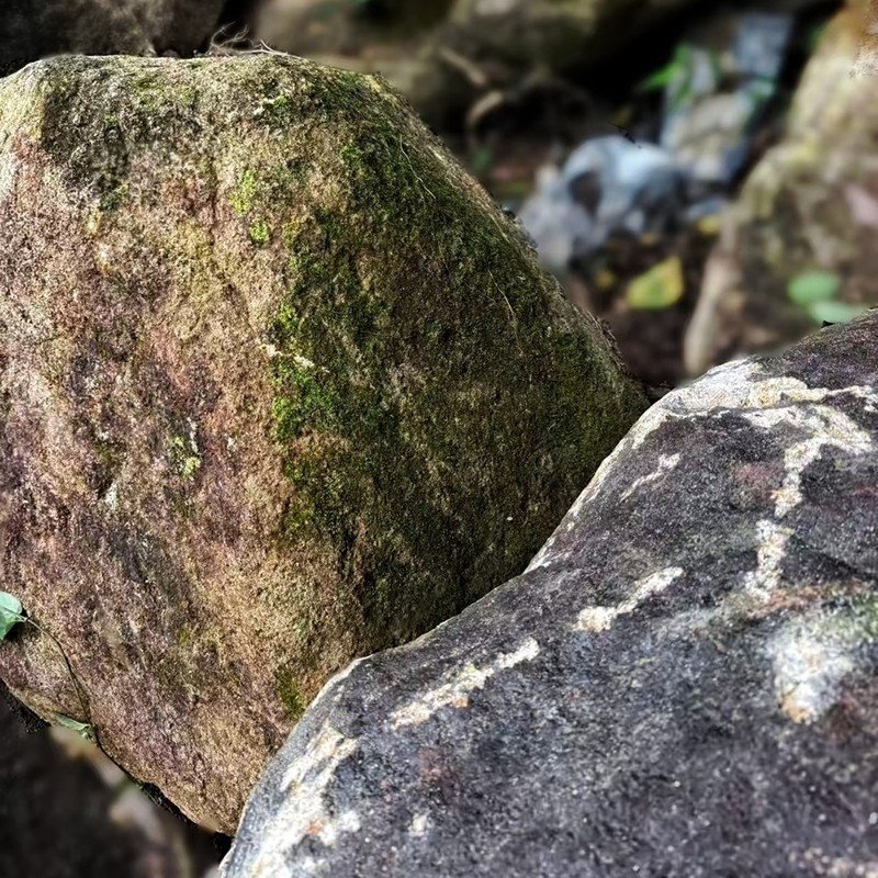 Wild Mountain Stone suppliers